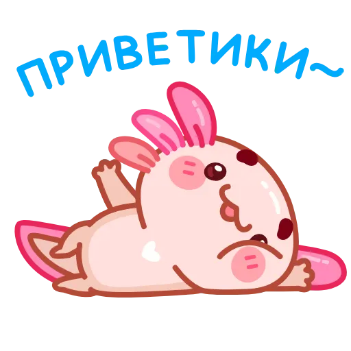 Обложка набора Руру -
