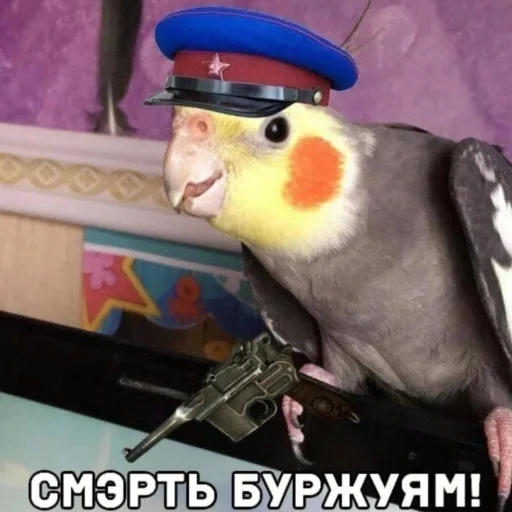 🔫 Стикер «Буквы кончились» для Telegram