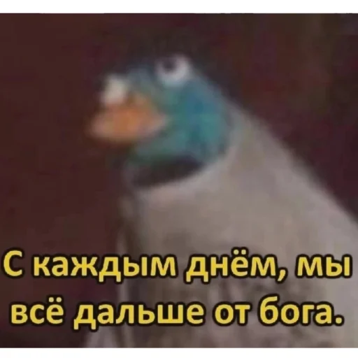 🌚 Стикер «Буквы кончились» для Telegram