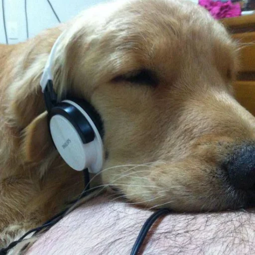 🎧 Стикер «Буквы кончились» для Telegram