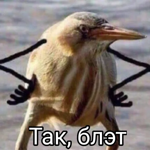 😠 Стикер «Буквы кончились» для Telegram