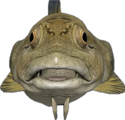 🎣 Стикер «Russian Fishing 4» для Telegram