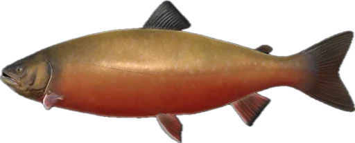 🐟 Стикер «Russian Fishing 4» для Telegram