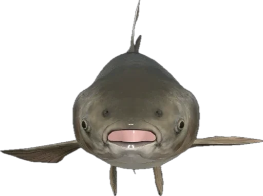 🐟 Стикер «Russian Fishing 4» для Telegram