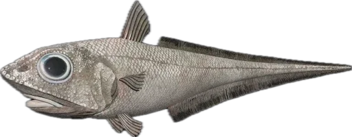 🐟 Стикер «Russian Fishing 4» для Telegram