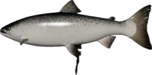 🎣 Стикер «Russian Fishing 4» для Telegram