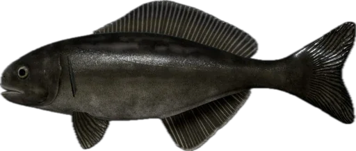 🐟 Стикер «Russian Fishing 4» для Telegram