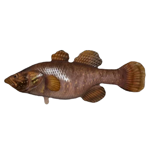 🐠 Стикер «Russian Fishing 4» для Telegram