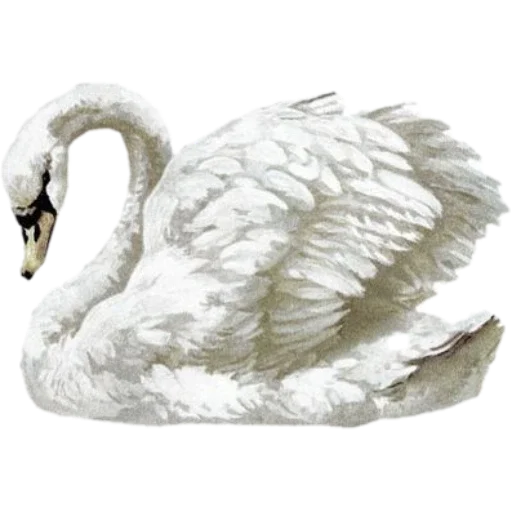 🦢 Стикер «Русская эстетика» для Telegram