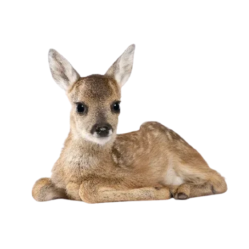 🦌 Стикер «Русская эстетика» для Telegram