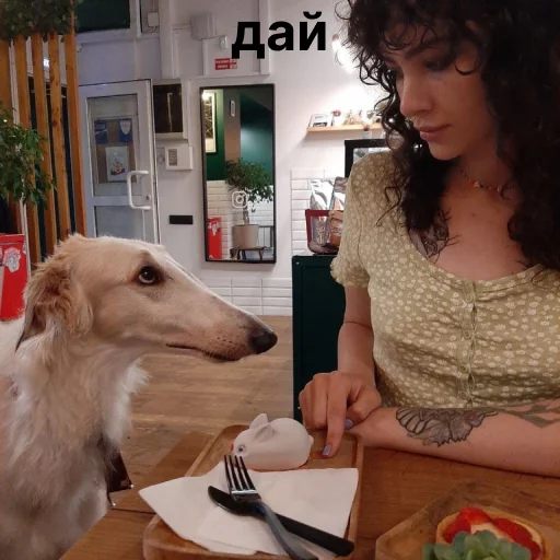 🥺 Стикер «носатый пак» для Telegram