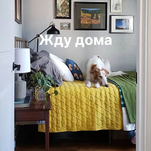 🏠 Стикер «носатый пак» для Telegram