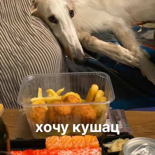 🍽 Стикер «носатый пак» для Telegram