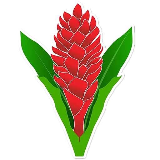 🇼🇸 Стикер «Rug Cup 2023» для Telegram