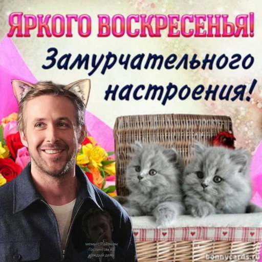 😺 Стикер «добрый Гослинг» для Telegram