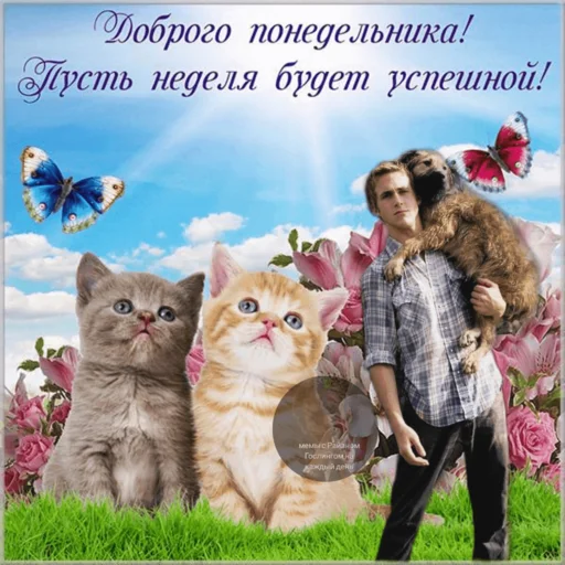 Стикерпак добрый Гослинг для Telegram — скачать