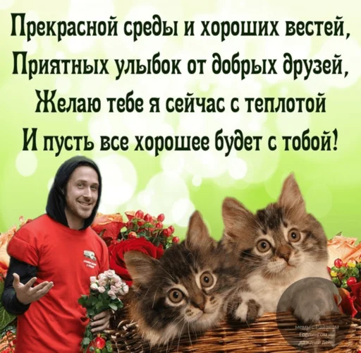 😄 Стикер «добрый Гослинг» для Telegram