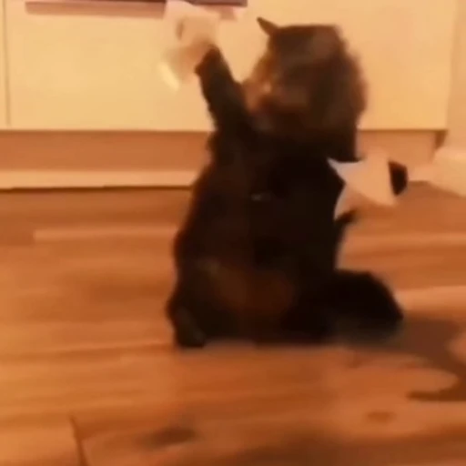 🐈‍⬛️ Стикер «Рыбки и животные» для Telegram