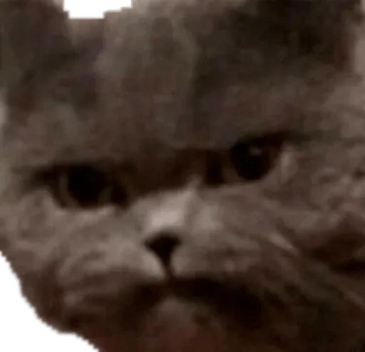 😾 Стикер «RyoDelRio - Autres» для Telegram