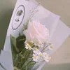 Стикер 46 Рюджин