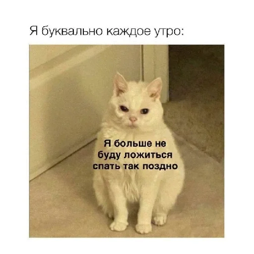 😅 Стикер «Ржачные животные» для Telegram