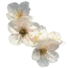 🍥 Эмодзи «pink flora» для Telegram