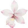 🍥 Эмодзи «pink flora» для Telegram