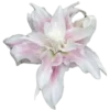 🍥 Эмодзи «pink flora» для Telegram