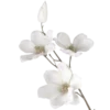 🍥 Эмодзи «pink flora» для Telegram