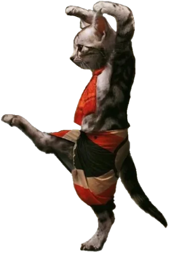 🐱 Стикер «Sashimi» для Telegram