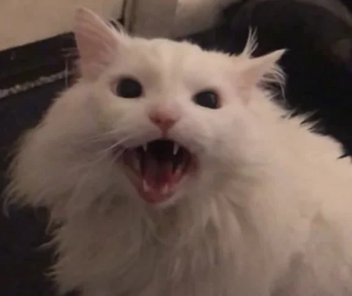 😡 Стикер «Sashimi» для Telegram