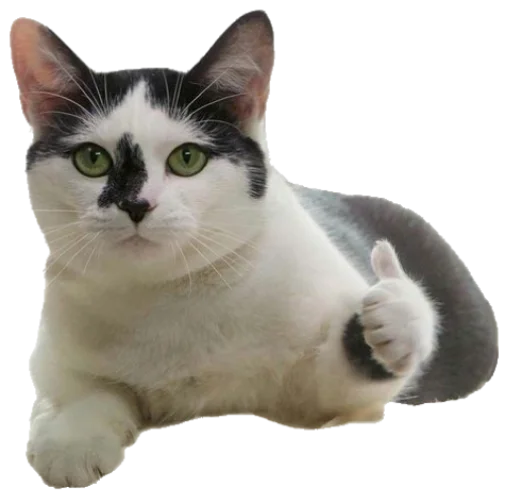 👍 Стикер «Sashimi» для Telegram
