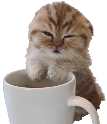 ☕️ Стикер «Sashimi» для Telegram