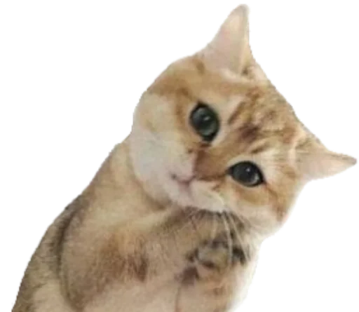 😍 Стикер «Sashimi» для Telegram