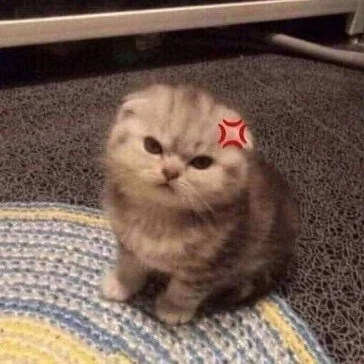 🤪 Стикер «saatepetir» для Telegram
