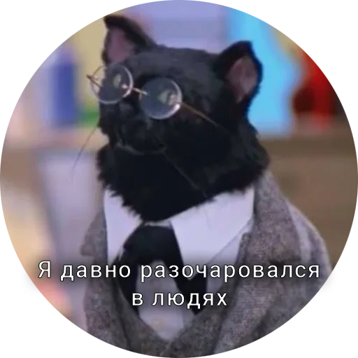 🫥 Стикер «Кот Салем» для Telegram