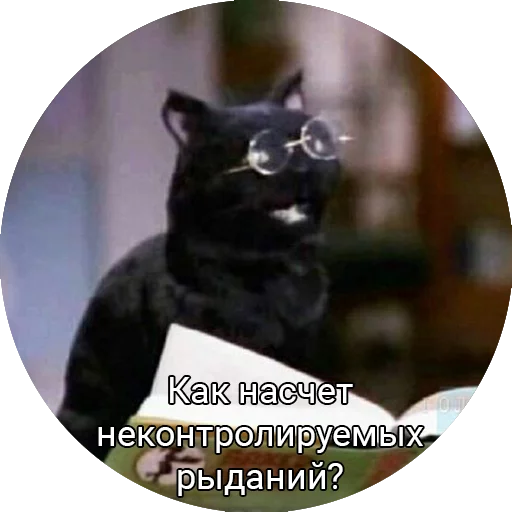 Стикерпак Кот Салем для Telegram
