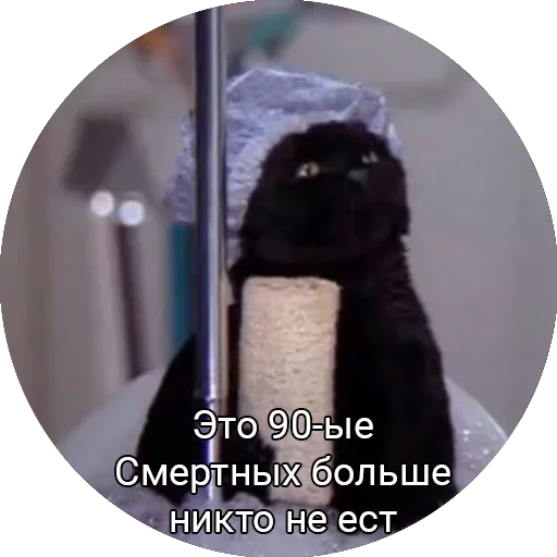 😕 Стикер «Кот Салем» для Telegram