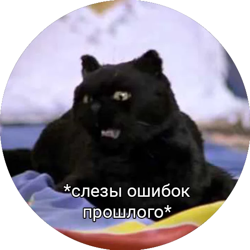 😭 Стикер «Кот Салем» для Telegram