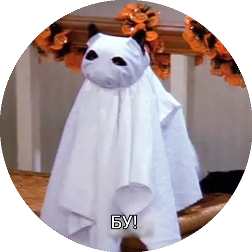 👻 Стикер «Кот Салем» для Telegram