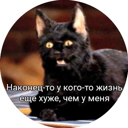 😌 Стикер «Кот Салем» для Telegram