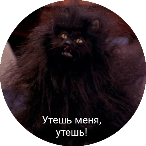 😣 Стикер «Кот Салем» для Telegram