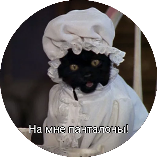🙄 Стикер «Кот Салем» для Telegram
