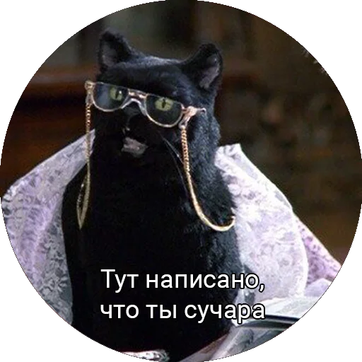 🤔 Стикер «Кот Салем» для Telegram
