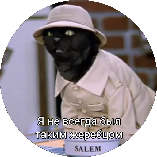 😏 Стикер «Кот Салем» для Telegram