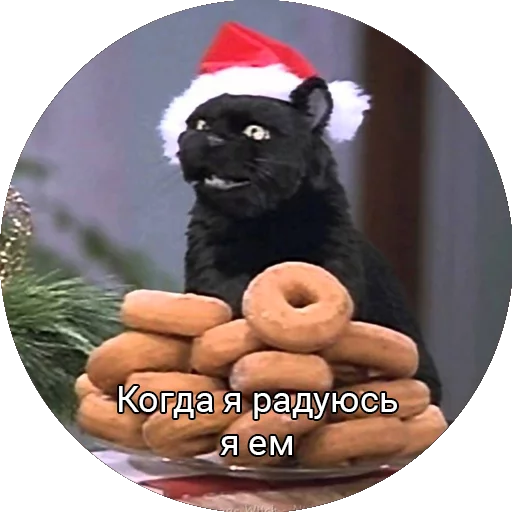 🍕 Стикер «Кот Салем» для Telegram
