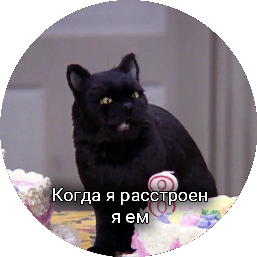 🍖 Стикер «Кот Салем» для Telegram