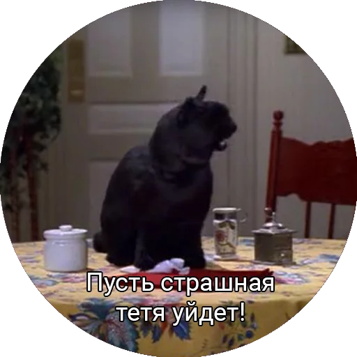 😩 Стикер «Кот Салем» для Telegram
