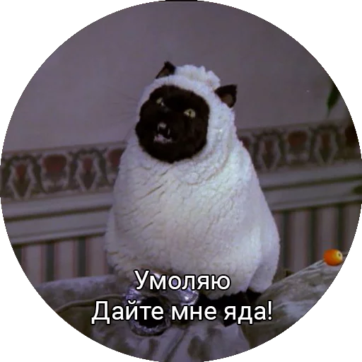 😩 Стикер «Кот Салем» для Telegram