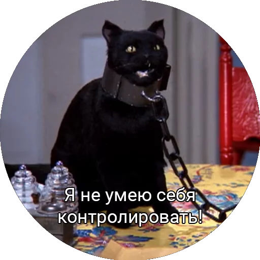 😾 Стикер «Кот Салем» для Telegram